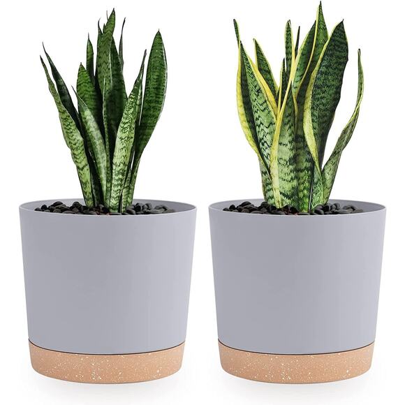 Plant Pots Set of 2 Pack 8 inch, Indoor Plants with Drainage Holes Light Gray - Picture 1 of 3